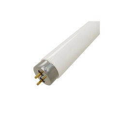 LAMPARA FLUORESCENTE 21W T8 762MM